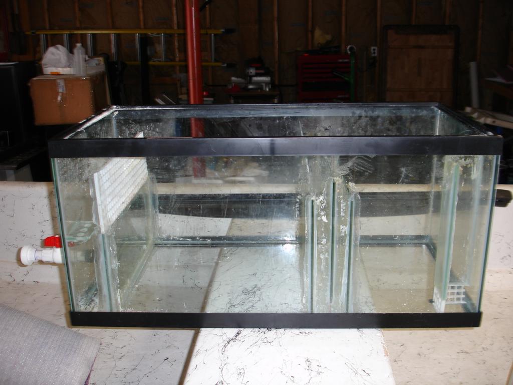 DIY 40 Breeder Sump w/baffles & Fuge